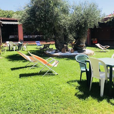 Agriturismo Su Barraccu Loceri Экстерьер фото