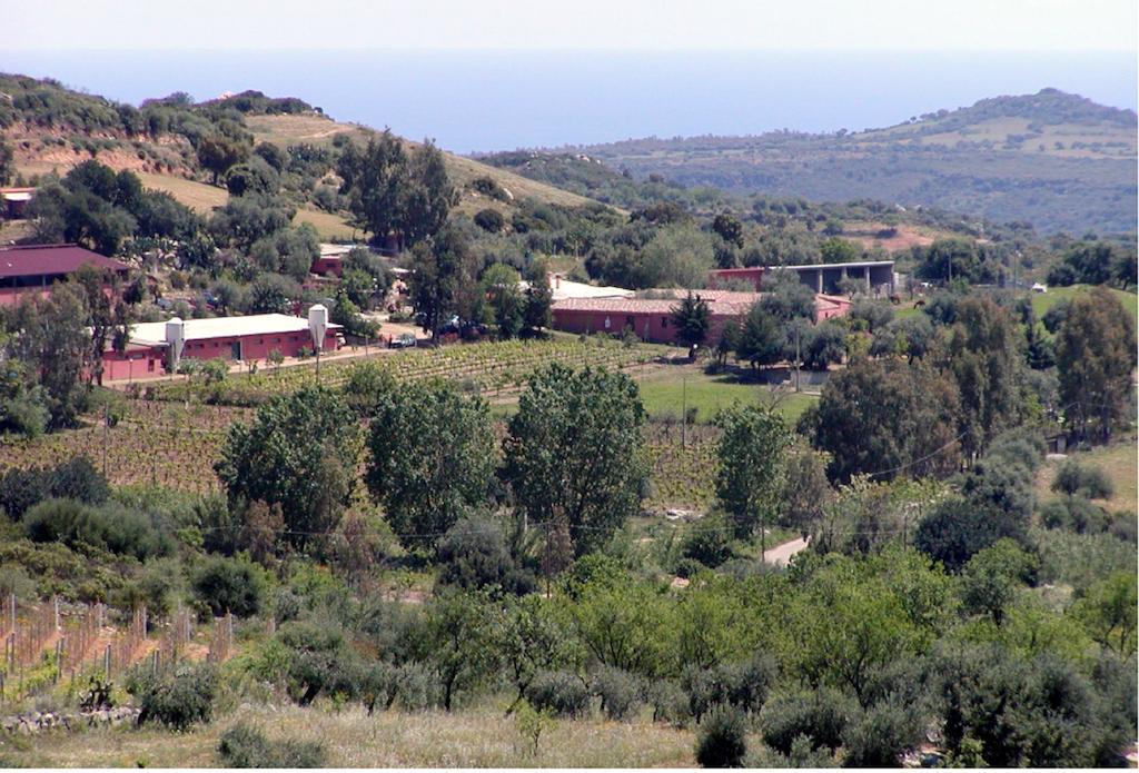 Agriturismo Su Barraccu Loceri Экстерьер фото