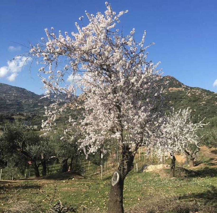Agriturismo Su Barraccu Loceri Экстерьер фото