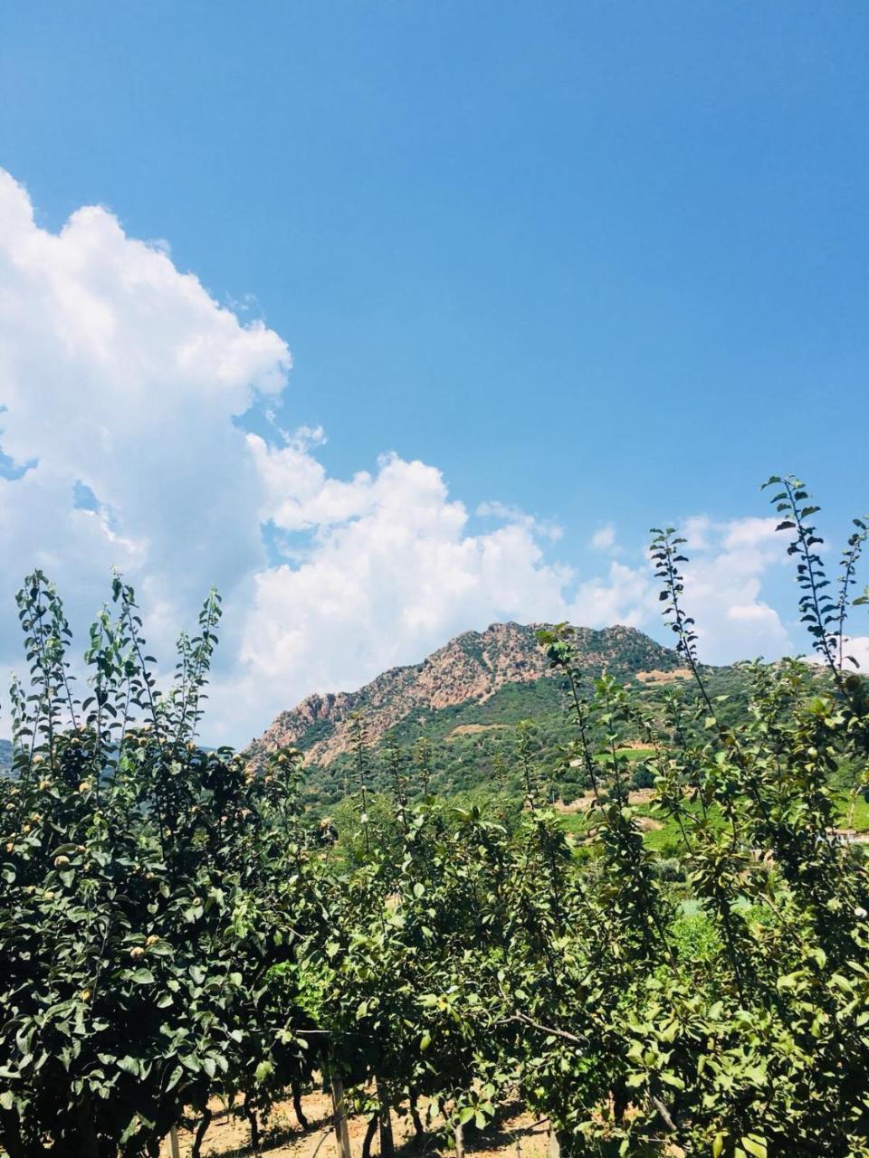 Agriturismo Su Barraccu Loceri Экстерьер фото
