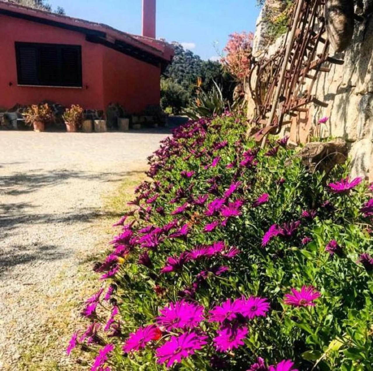 Agriturismo Su Barraccu Loceri Экстерьер фото